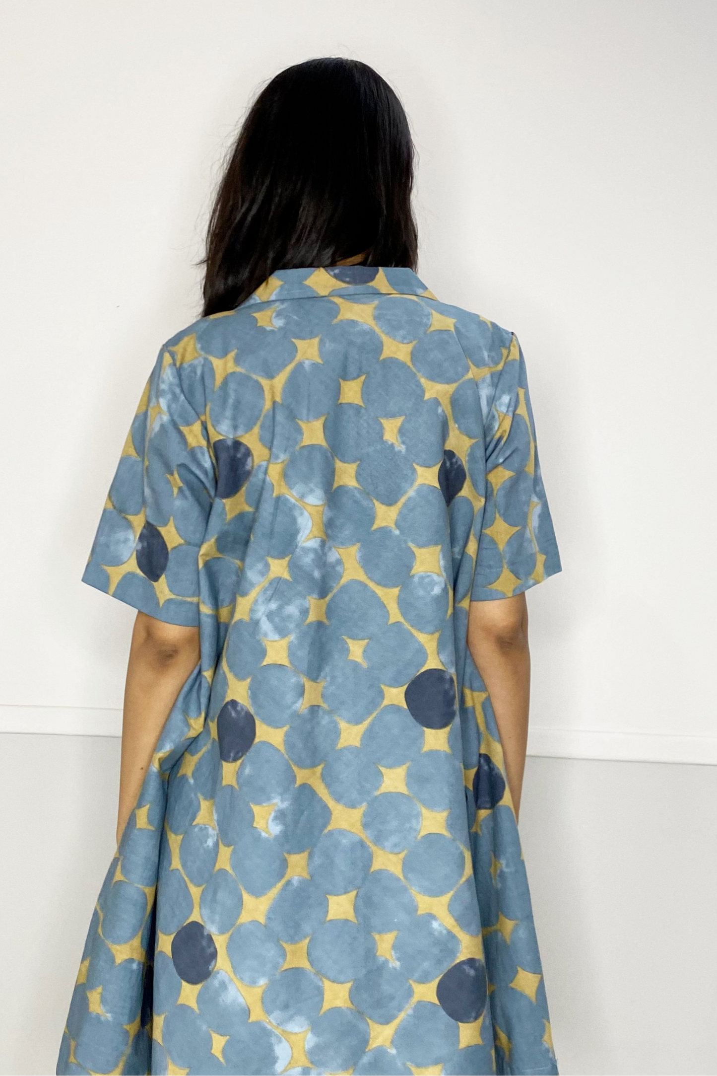 Nyla Flared Dress